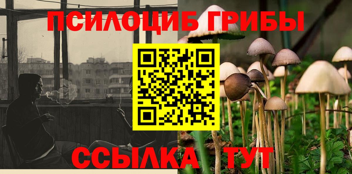 Галлюциногенные грибы Psilocybine cubensis Кубинка